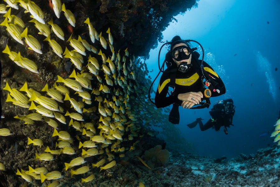 A diver among reef fish — custom excursions and experiences